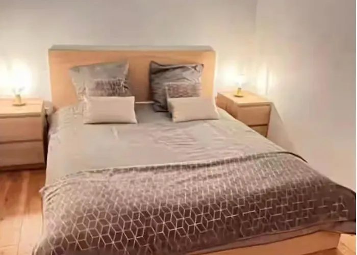 élégant Et Indépendant Centre - Quartier Facultés